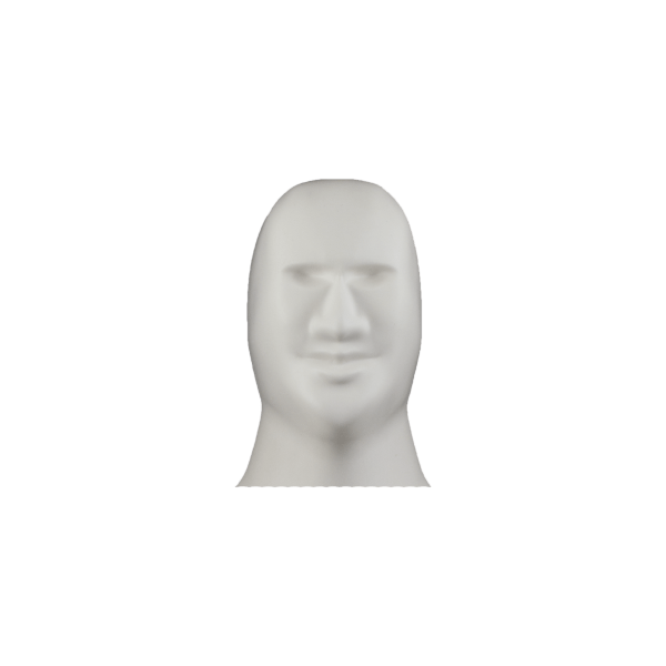 3D Shooting Dummy Head Only