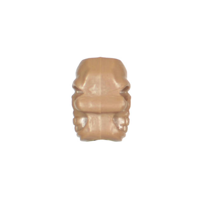 SKULL STOPPER BEAD - COYOTE BROWN - M-TAC