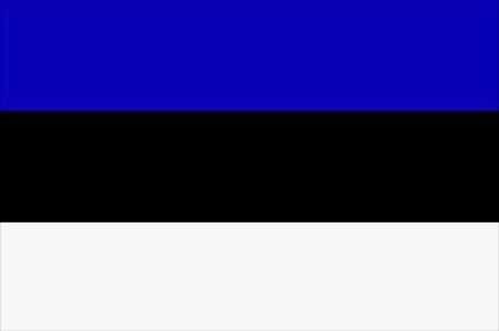 FLAG (91 x 152) cm ESTONIA