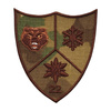 Emblema Batalionul 22 Vanatori de Munte CIRESOAIA brodata pe suport combat (camuflaj) forte terestre