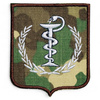 Emblema Spitalul Universitar de Urgenta Militar Central DR. CAROL DAVILA - combat (camuflaj) forte terestre