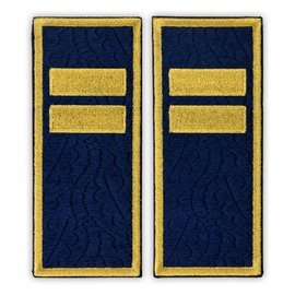 Grade Agent Principal penitenciar ANP - Fundal brodat complet cu frunze de stejar - 14x5,5 cm (model vechi)