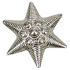 Hungarian metal badge, star, silver, like new